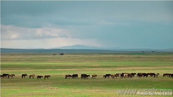 蒙古国自然风光,太美了